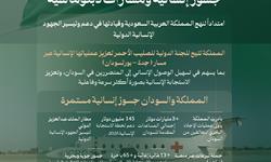 المملكة والسودان.. جسور إنسانية ومبادرات دبلوماسية
