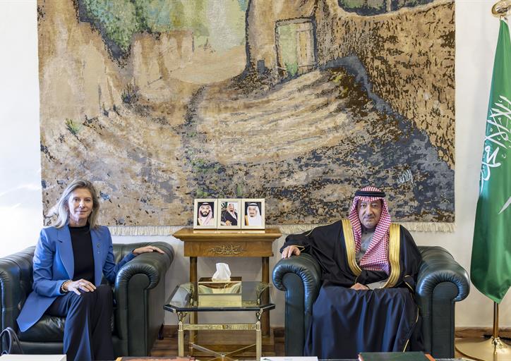  معالي نائب وزير الخارجية يستقبل سفيرة الجمهورية الهيلينية لدى المملكة