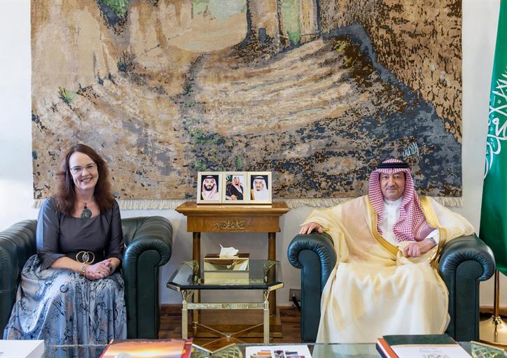 معالي نائب وزير الخارجية يستقبل القائم بالأعمال بالسفارة الأمريكية لدى المملكة 